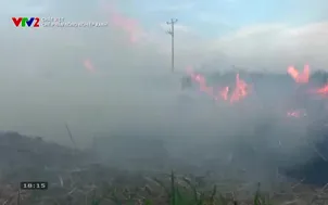 Chất Việt: Chế phẩm nông nghiệp xanh