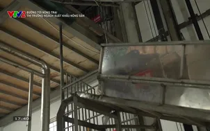 Đường tới nông trại: Thị trường ngách xuất khẩu nông sản