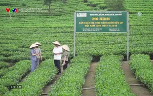 Học và làm theo Bác: Trên đồng đất quê hương