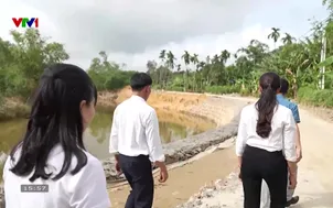 Về quê: Hạt gạo tình quê