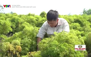 Vì cộng đồng - 22/11/2025