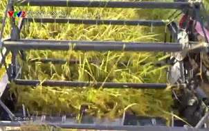 Môi trường và cuộc sống: Tiết kiệm năng lượng trong ngành chế biến thực phẩm