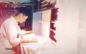 Dám sống: Hạt mầm giữa bão giông