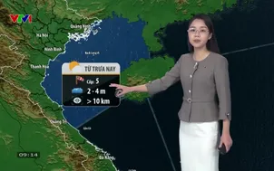 Bản tin thời tiết 9h10 - 28/11/2025