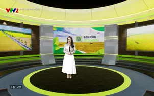 Bạn của nhà nông - 24/11/2025