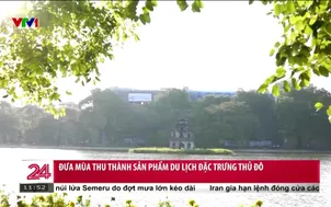 Đưa mùa thu thành sản phẩm du lịch đặc trưng thủ đô