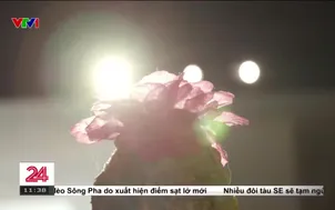 Triển lãm "TỎA V - Điểm chạm khoa học"