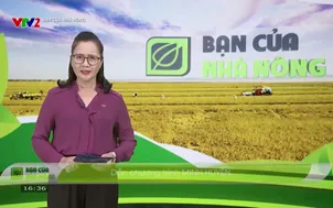 Bạn của nhà nông - 04/12/2025