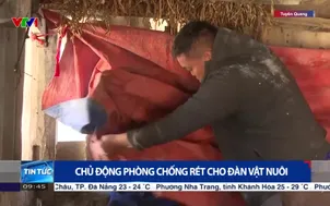 Chủ động phòng chống rét cho đàn vật nuôi