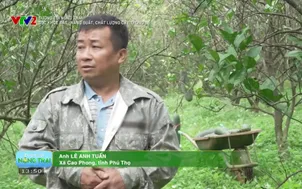 Đường tới nông trại: Sức khỏe đất - Năng suất, chất lượng cây trồng