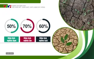 Đường tới nông trại: Sức khỏe đất - Năng suất, chất lượng cây trồng