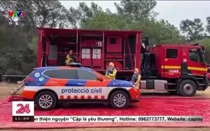 Tây Ban Nha ứng phó dịch tả lợn