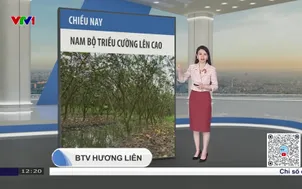 Bản tin thời tiết 12h30 - 05/12/2025