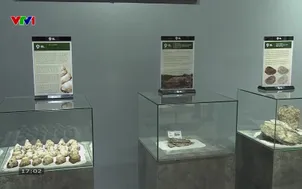 Nhật ký người Việt - 06/12/2025