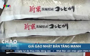 Giá gạo Nhật Bản tăng mạnh