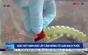 Giác hút sinh học lấy cảm hứng từ loài bạch tuộc