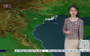 Bản tin thời tiết 12h30 - 07/12/2025