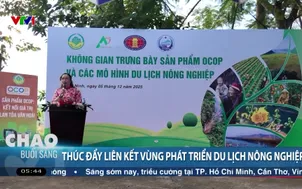 Thúc đẩy liên kết vùng phát triển du lịch nông nghiệp
