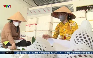 Xây dựng chuỗi giá trị thúc đẩy canh tác hữu cơ