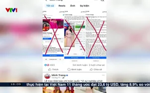 Bùng nổ giả mạo tích xanh