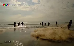 Tổ quốc nhìn từ biển: Thành phố bên bờ biển Đông