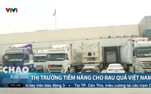 Thị trường tiềm năng cho rau quả Việt Nam