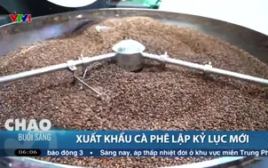 Xuất khẩu cà phê lập kỷ lục mới