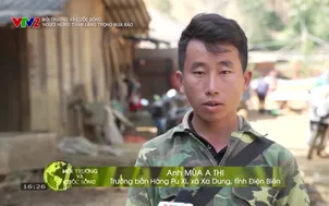 Môi trường và cuộc sống: "Người hùng" thầm lặng trong mưa bão