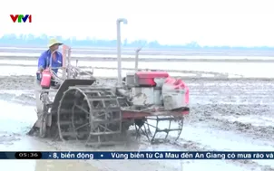 Khẩn trương xuống giống vụ lúa Đông Xuân