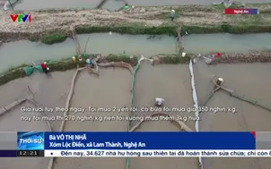 Nhộn nhịp chợ rươi ven đê sông Lam