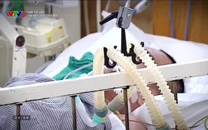 Phim tài liệu: Cạm bẫy thời thượng		