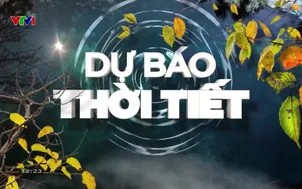 Bản tin thời tiết 12h30 - 10/12/2025