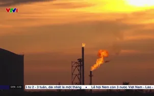 Cảnh báo khủng hoảng môi trường toàn cầu