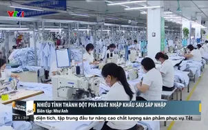 Nhiều tỉnh thành đột phá xuất nhập khẩu sau sáp nhập
