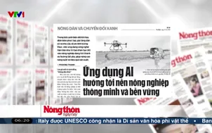 Điểm báo - 11/12/2025