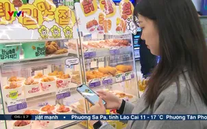 Số hộ người độc thân tại Hàn Quốc tăng cao