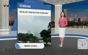 Bản tin thời tiết 19h45 - 11/12/2025