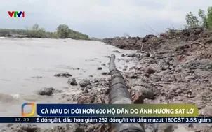 Cà Mau di dời hơn 600 hộ dân do ảnh hưởng sạt lở