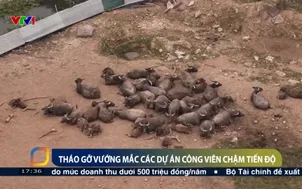 Tháo gỡ vướng mắc các dự án công viên chậm tiến độ