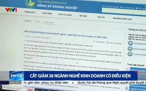 Cắt giảm 38 ngành nghề kinh doanh có điều kiện