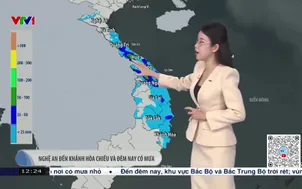 Bản tin thời tiết 12h30 - 14/12/2025