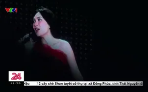 Ca sĩ Mỹ Tâm và sự nghiệp 25 năm ca hát