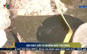 Bãi rác gây ô nhiễm môi trường
