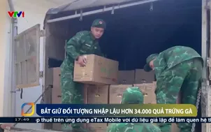 Bắt giữ đối tượng nhập lậu hơn 34.000 quả trứng gà