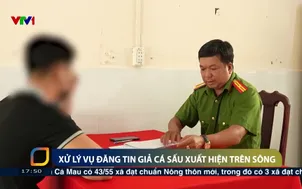 Xử lý vụ đăng tin giả cá sấu xuất hiện trên sông