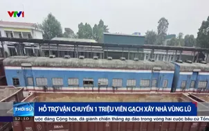 Hỗ trợ vận chuyển 1 triệu viên gạch xây nhà vùng lũ