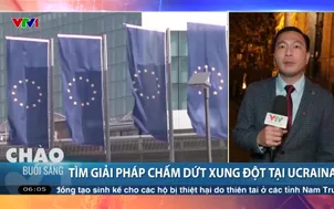 Tìm giải pháp chấm dứt xung đột tại Ucraina