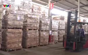 Môi trường và cuộc sống: Tiết kiệm năng lượng trong ngành chế biến gỗ