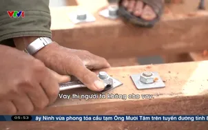 Nỗ lực phục hồi nguồn tôm hùm xuất khẩu