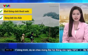 Bản tin thời tiết 5h30 - 16/12/2025